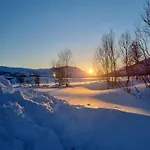 Auroras