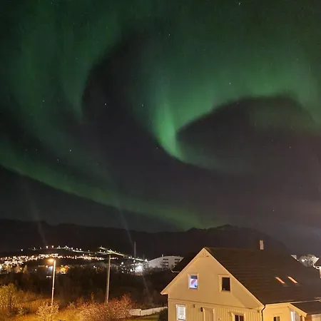 Auroras * Tromsø